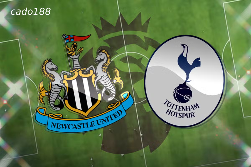 Soi kèo Newcastle vs Tottenham, 19h30 ngày 01/09, EPL