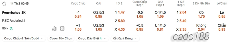 Nhận định soi kèo Fenerbahce vs Anderlecht, 00h45 ngày 14.02-2