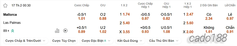Nhận định soi kèo Heidenheim vs Mainz, 01h30 ngày 17.02-2