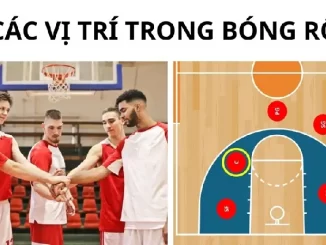 chi tiết các vị trí trong bóng rổ