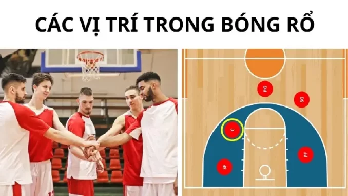cac-vi-tri-bong-ro chi tiết các vị trí trong bóng rổ