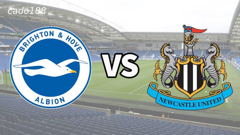 Soi kèo Brighton vs Newcastle, 20h00 ngày 04/05
