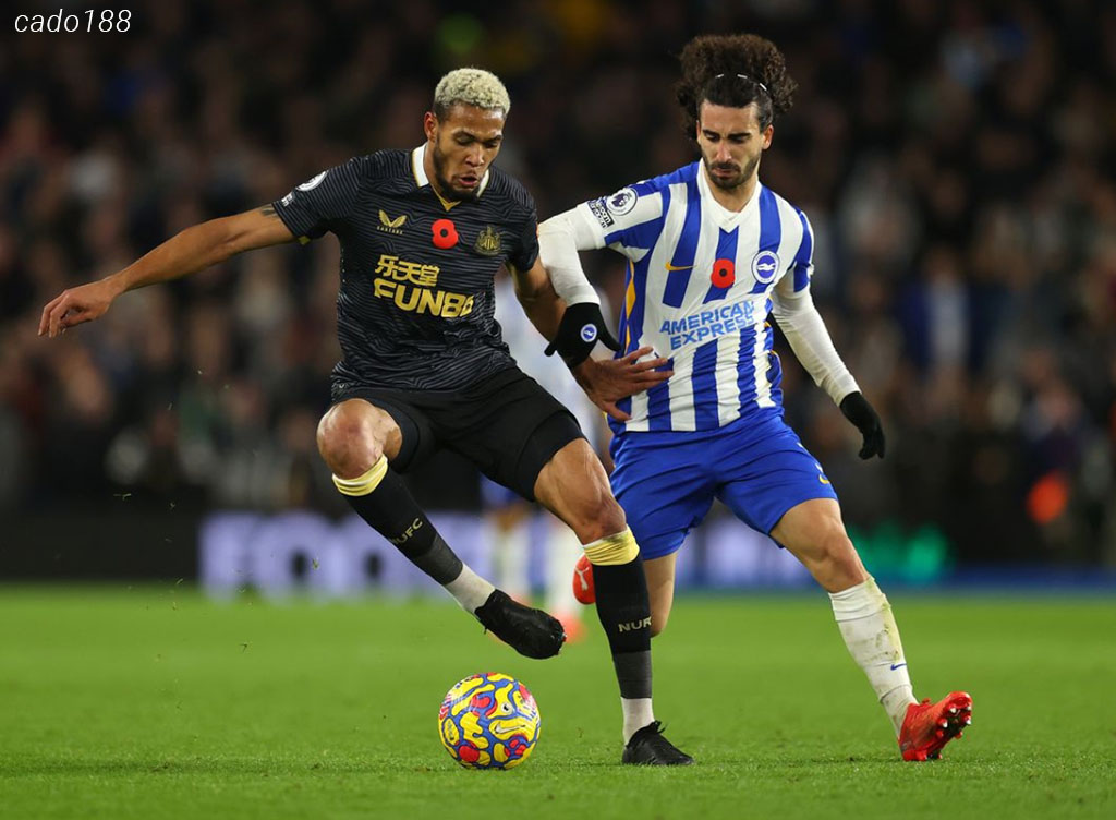 Nhận định kèo xiên ngày 04/05 Brighton vs Newcastle, EPL